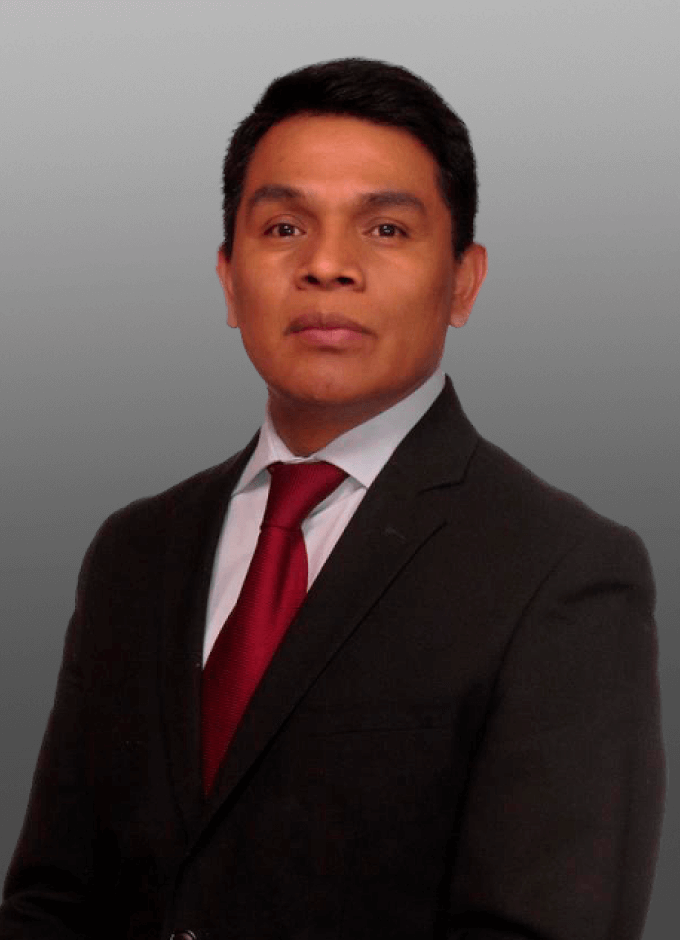 Mtro. David Hernández Martínez