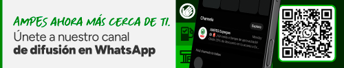BannerWhatsapp
